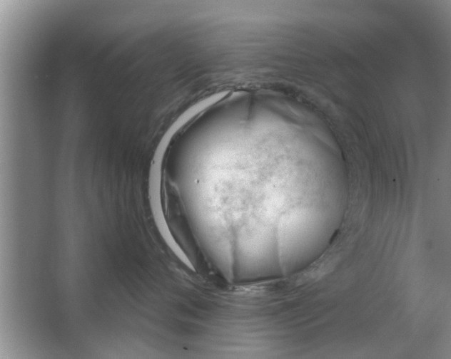 X0000063490720200602031951