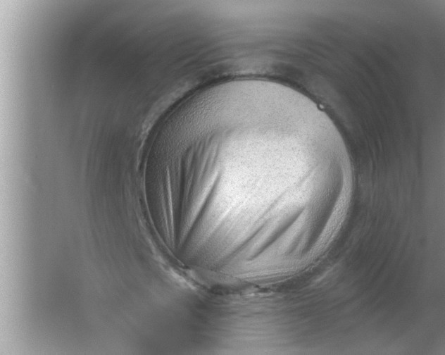 X0000063490721200602031951