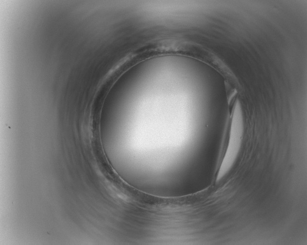 X0000063490722200602031951