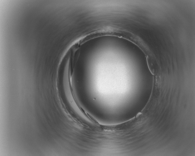 X0000063490724200602031951