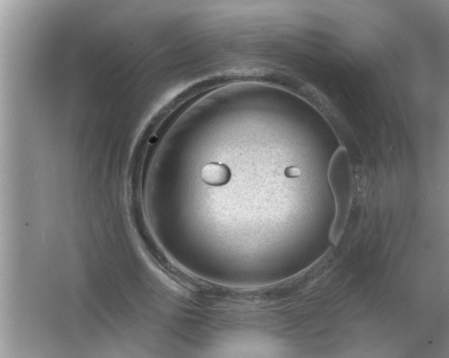 X0000063490726200602031951