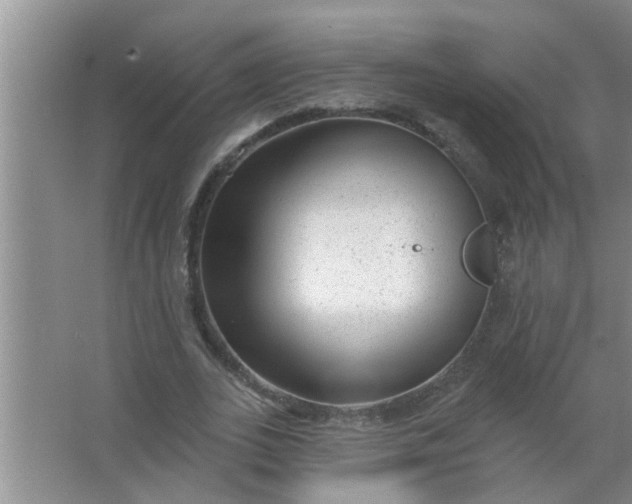 X0000063490727200602031951