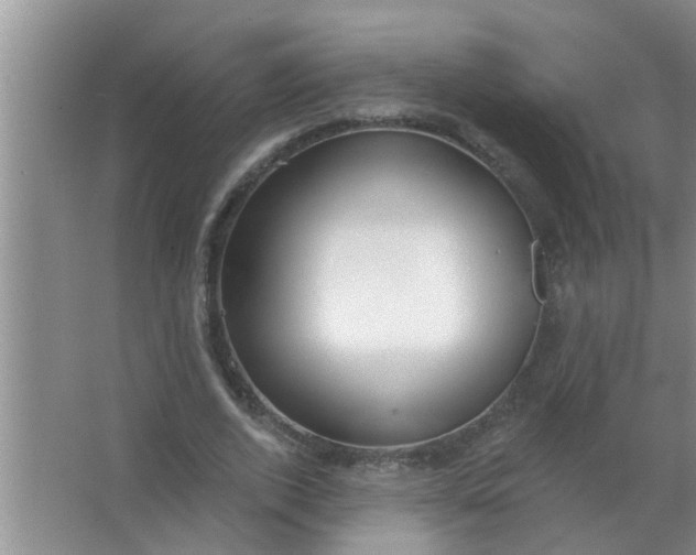 X0000063490728200602031951