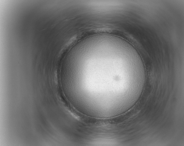 X0000063490729200602031951