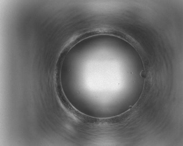 X0000063490730200602031951