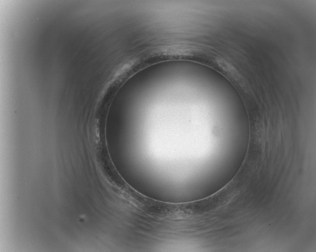 X0000063490731200602031951