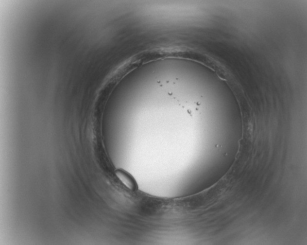 X0000063490732200602031951