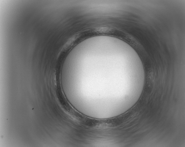 X0000063490734200602031951