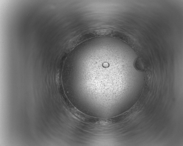 X0000063490745200602031951