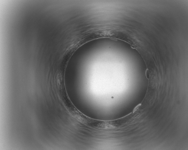 X0000063490747200602031951