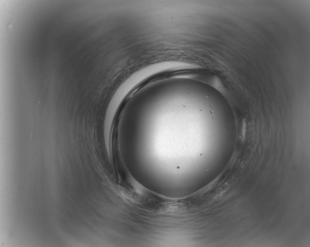 X0000063490750200602031951