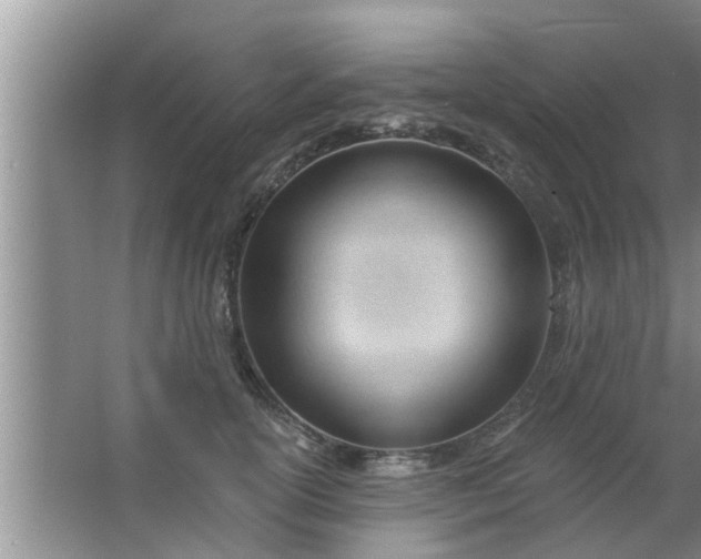 X0000063490754200602031951