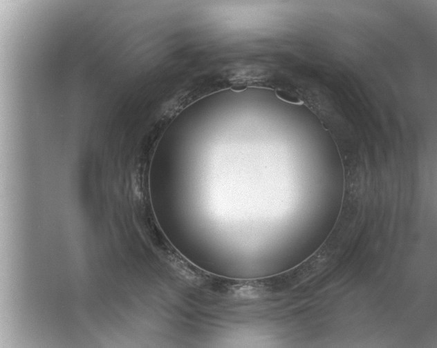 X0000063490755200602031951