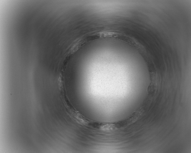 X0000063490761200602031951