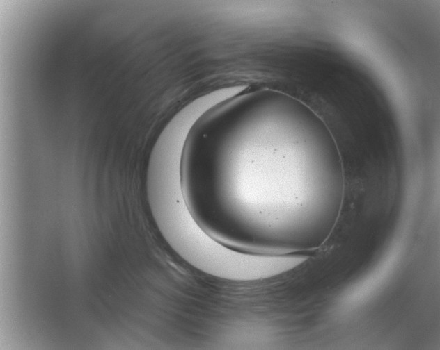 X0000063490766200602031951