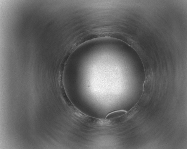 X0000063490767200602031951