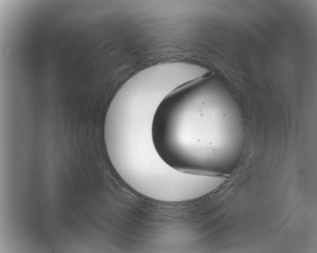 X0000063490768200602031951