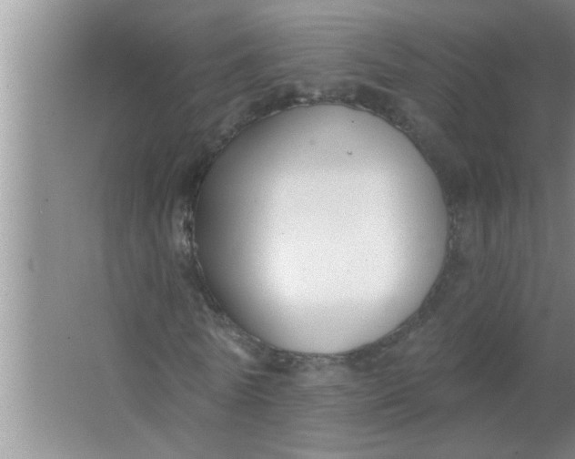 X0000063490770200602031950