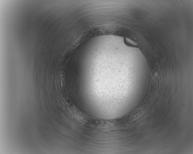 X0000063490772200602031950