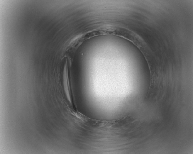 X0000063490773200602031950