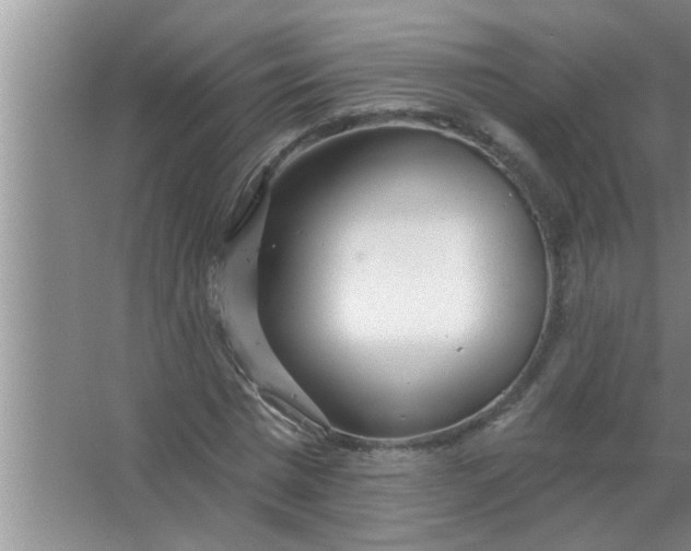 X0000063490777200602031950