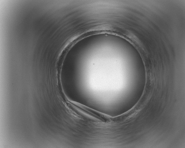 X0000063490781200602031950