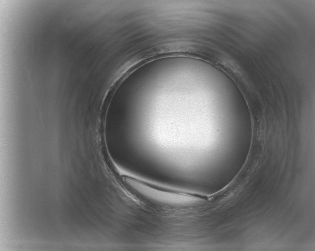 X0000063490786200602031950