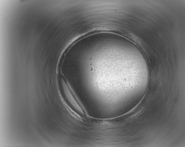 X0000063490787200602031950