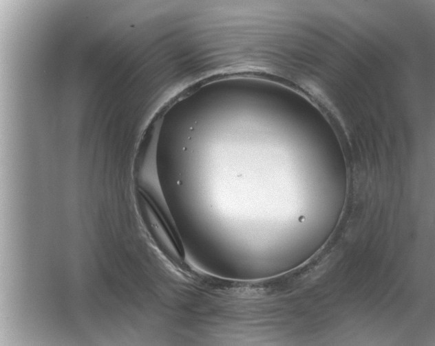 X0000063490789200602031950