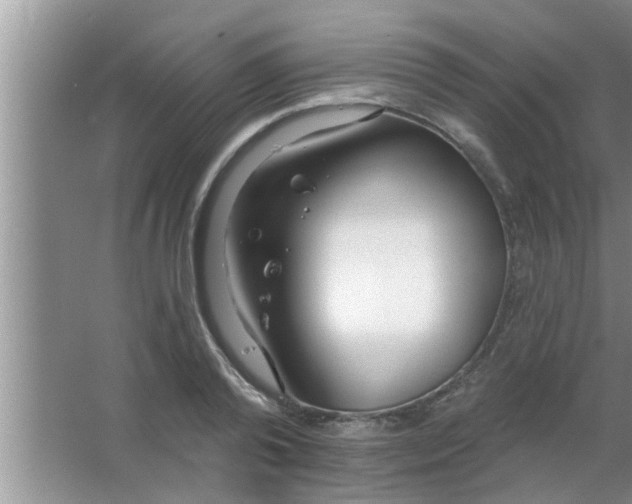 X0000063490792200602031950