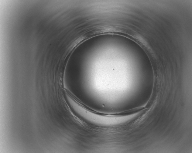 X0000063490793200602031950