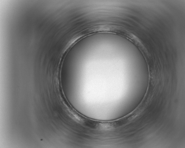 X0000063490794200602031950