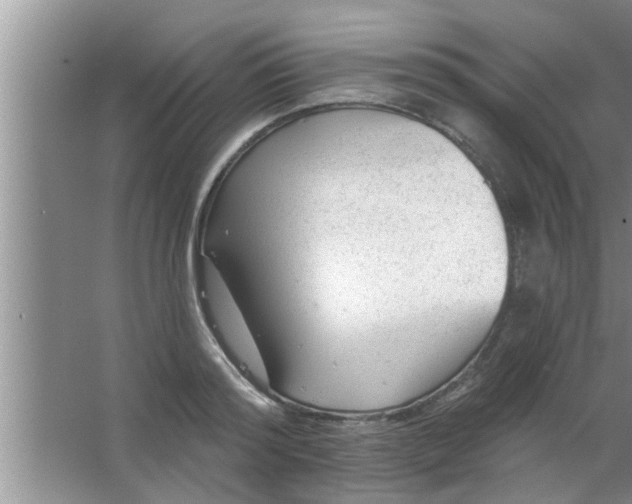 X0000063490796200602031950