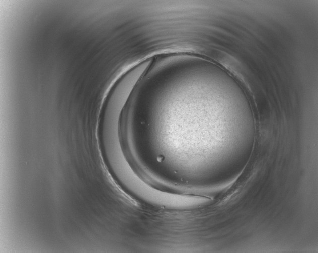 X0000063490797200602031950