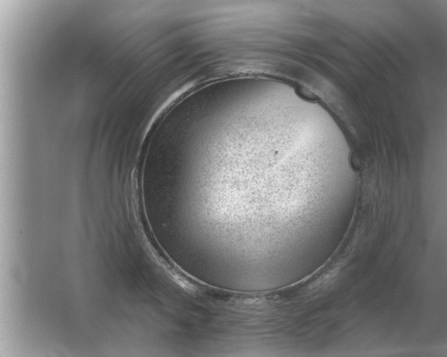 X0000063490798200602031950