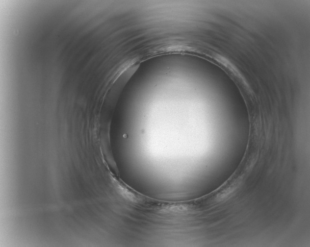 X0000063490801200602031950