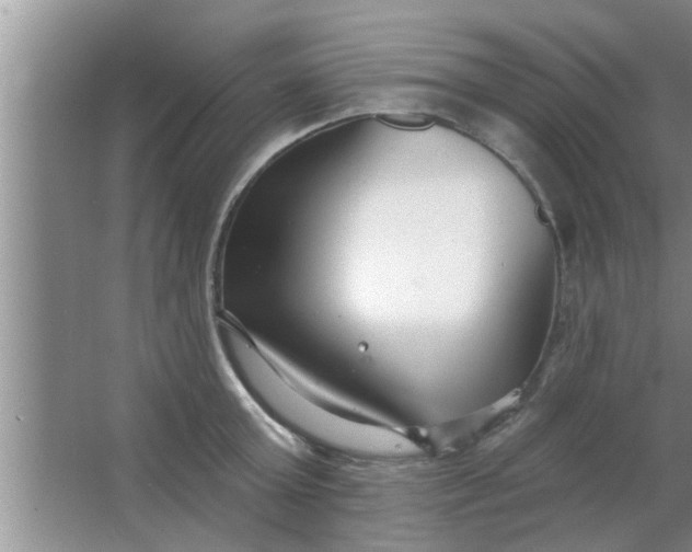 X0000063490803200602031950