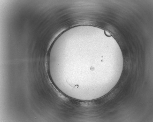 X0000063490804200602031950