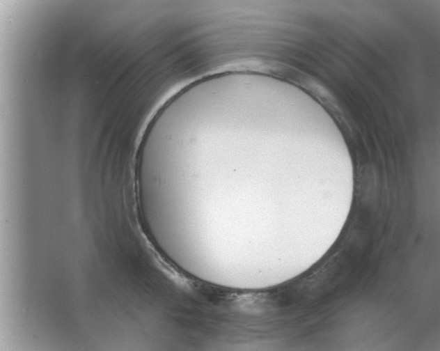 X0000063490808200602031950