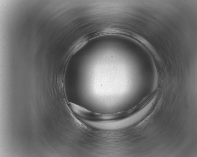 X0000063490809200602031950