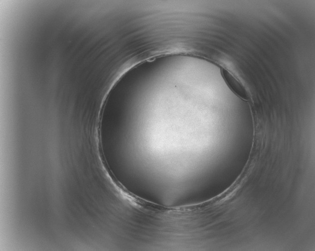 X0000063490810200602031950