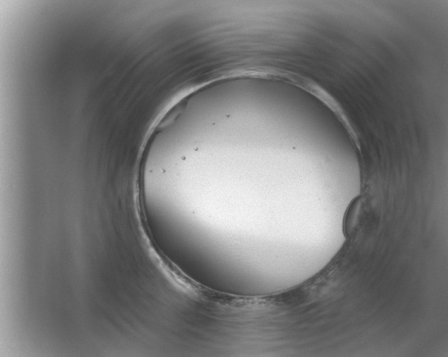 X0000063490811200602031950