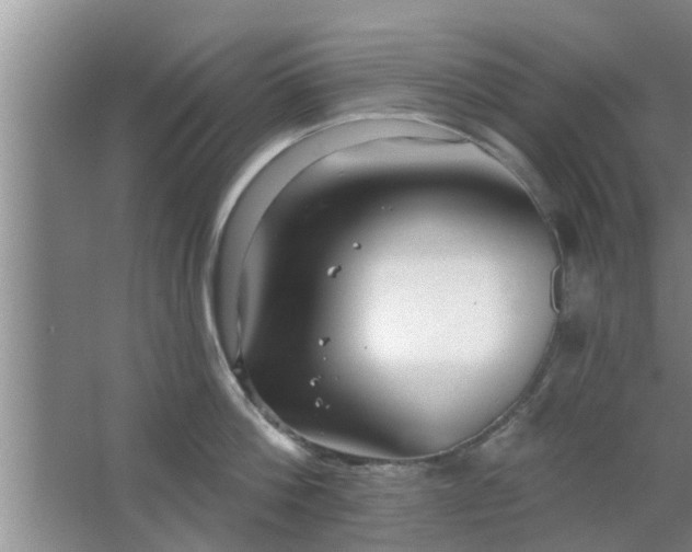 X0000063490812200602031950