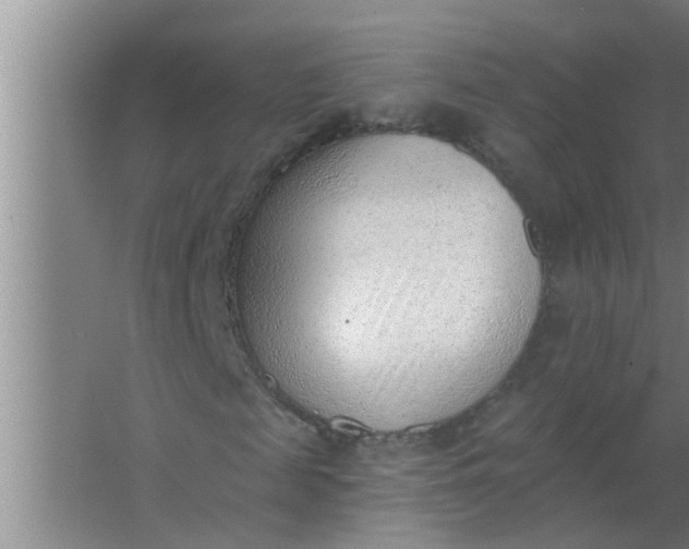 X0000063490817200602031949