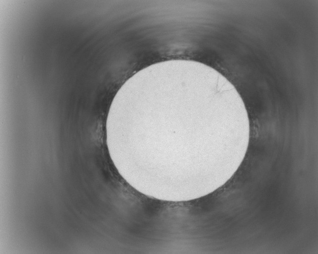 X0000063490820200602031949