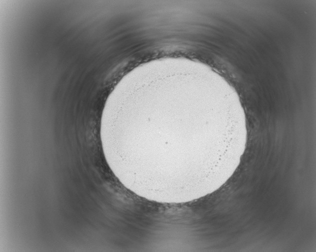 X0000063490824200602031949