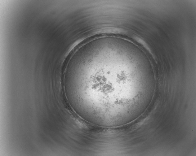 X0000063490829200602031949