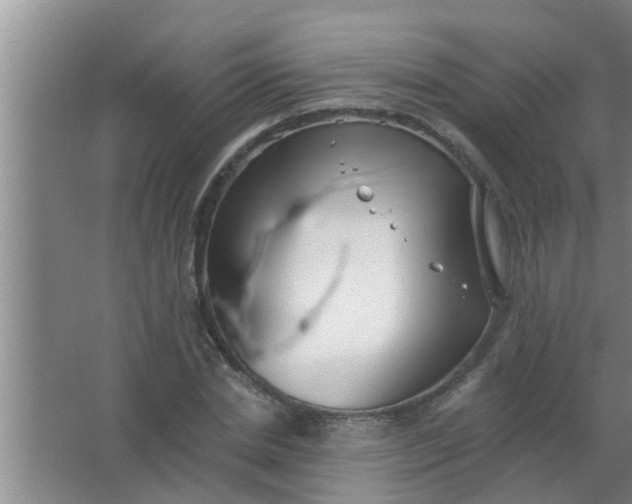 X0000063490830200602031949