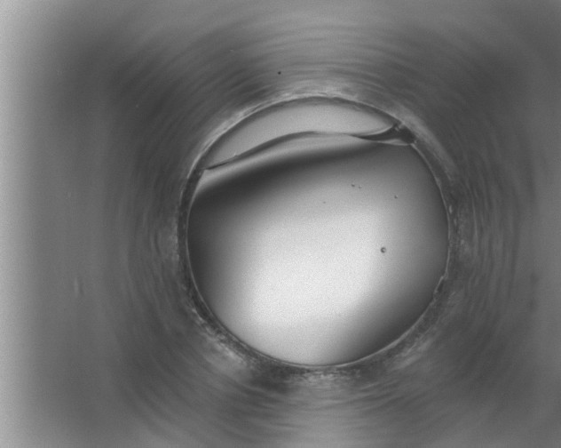 X0000063490834200602031949