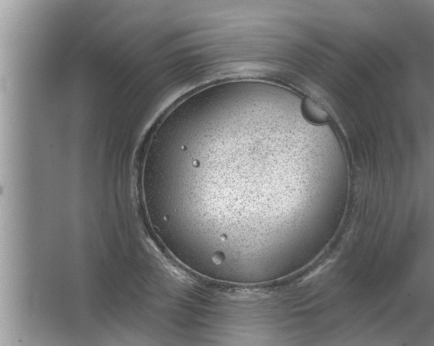 X0000063490835200602031949